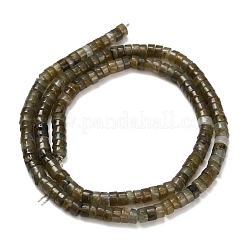 Natural Labradorite Beads Strands&nbsp;G-Z110-A32-2x4mm