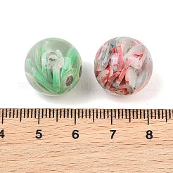 Fruit Theme Transparent Resin & Polymer Clay Beads&nbsp;RE-CBAC4C7-05