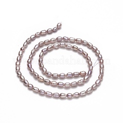 Natural Cultured Freshwater Pearl Beads Strands&nbsp;PEAR-J006-03B