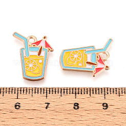 Beach Theme Alloy Enamel Pendants&nbsp;X-ENAM-T022-33F