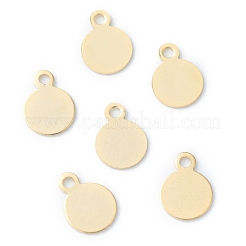304 Stainless Steel Charms&nbsp;STAS-H149-04G