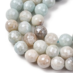 Electroplated Natural Flower Amazonite Beads Strands&nbsp;G-B191-A03-10mm