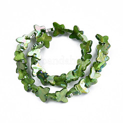 Natural Freshwater Shell Beads Strands&nbsp;SHEL-N026-206E