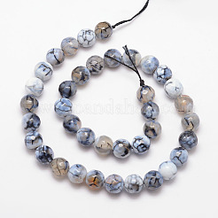 Natural Fire Crackle Agate Bead Strands&nbsp;G-K166-07F-8mm-02