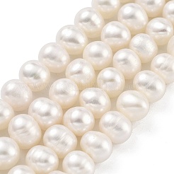 Natural Cultured Freshwater Pearl Beads Strands&nbsp;PEAR-C003-18C