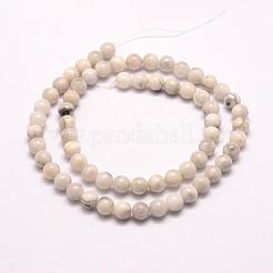 Natural Howlite Beads Strands&nbsp;G-E380-08-6mm