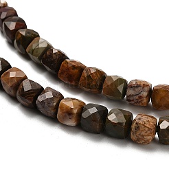 Natural Polychrome Jasper/Red Picasso Jasper Beads Strands&nbsp;G-H078-C19-01