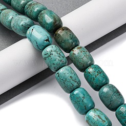 Natural Howlite Beads Strands&nbsp;G-F783-H05-01
