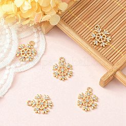 Alloy Pendants&nbsp;ALRI-YW0001-12