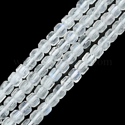 Natural Rainbow Moonstone Beads Strands&nbsp;G-F748-Z01-01
