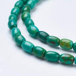 Natural Magnesite Beads Strands&nbsp;TURQ-K003-01B