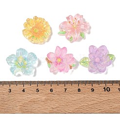Transparent Resin Cabochons&nbsp;RE-CBA1274-02