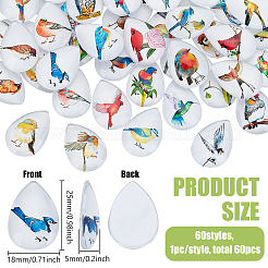 1Set Glass Cabochons&nbsp;GGLA-PH0001-65F