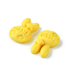 Luminous Resin Cabochons&nbsp;RESI-E039-11