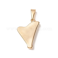 304 Stainless Steel Pendants&nbsp;STAS-D182-16G