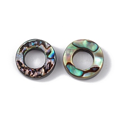 Natural Abalone Shell/Paua Shell Beads&nbsp;SSHEL-M021-03
