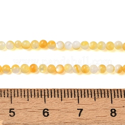 Natural Yellow Shell Beads Strands&nbsp;SHEL-M021-03A