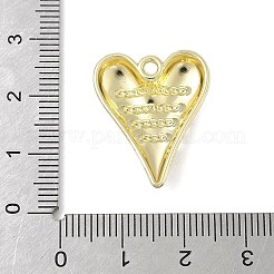 Alloy Pendants&nbsp;FIND-L025-04G