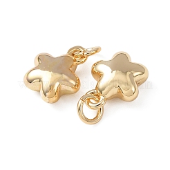 Brass Pendants&nbsp;KK-C143-20G