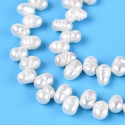Natural Cultured Freshwater Pearl Beads Strands&nbsp;PEAR-N014-04N