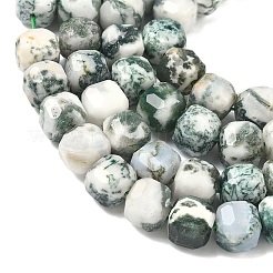 Natural Tree Agate Beads Strands&nbsp;G-C267-A18