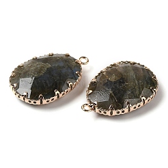 Natural Labradorite Faceted Pendants&nbsp;G-Q169-01G-03