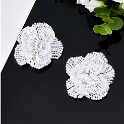 2Pcs Iron & ABS Imitation Pearl Shoe Buckle Clips&nbsp;DIY-FH0008-23