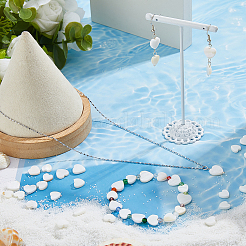 2 Strands 2 Styles Natural Freshwater Shell Beads Strands&nbsp;SHEL-FH0001-26