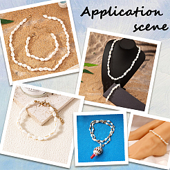 2 Strands Natural Trumpet Shell Beads Strands&nbsp;SHEL-LT0001-01
