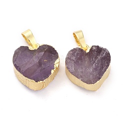 Natural Amethyst Pendants&nbsp;G-B012-13G-01
