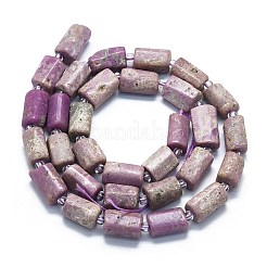 Natural Phosphosiderite Beads Strands&nbsp;G-K245-I02-01