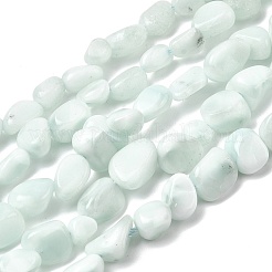 Glass Beads Strands&nbsp;GLAA-A003-01
