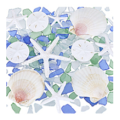 Resin Marine Organism Display Decorations&nbsp;AJEW-PH0008-27