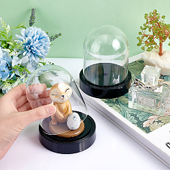 2Pcs Plastic Display Bases with 2Pcs Glass Dome Covers&nbsp;AJEW-PH0004-31