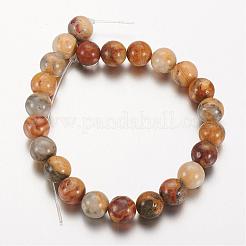 Natural Crazy Lace Agate Round Bead Strands&nbsp;G-M272-03-8mm