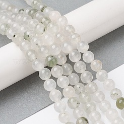 Natural Tianshan Cui Quartzite Beads Strands&nbsp;G-C102-B02-01