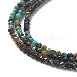 Natural HuBei Turquoise Beads Strands&nbsp;G-D080-A02