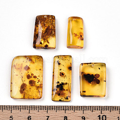 Natural Amber Pendants&nbsp;G-T140-18