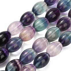 Natural Fluorite Beads Strands&nbsp;G-L634-H01-14x10mm