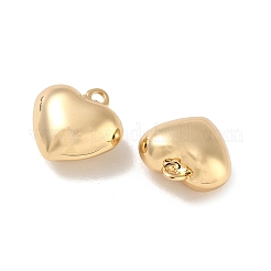 Brass Pendants&nbsp;KK-CBAD851-03G-02