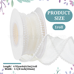 Polyester & Plastic Ribbon&nbsp;OCOR-WH0105-140C
