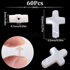60Pcs Natural Freshwater Shell Beads&nbsp;BSHE-SC0001-17