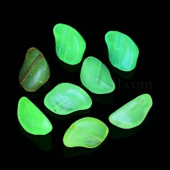 Transparent Acrylic Beads&nbsp;OACR-Z013-16