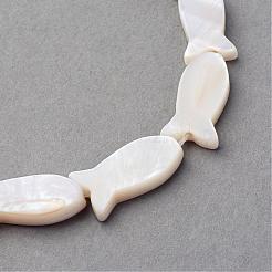 Natural Sea Shell Beads Strands&nbsp;SSHEL-Q296-39
