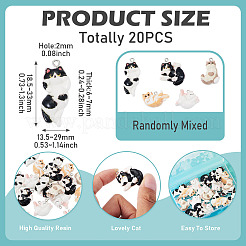 20Pcs Resin Pendants&nbsp;RESI-TA0004-95