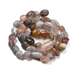 Natural Botswana Agate Beads Strands&nbsp;G-P433-20A