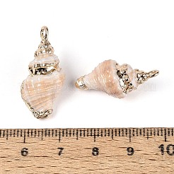 Electroplate Natural Sea Shell Pendants&nbsp;SSHEL-T018-11