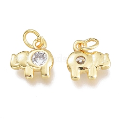 Brass Micro Pave Clear Cubic Zirconia Charms&nbsp;KK-M206-39G