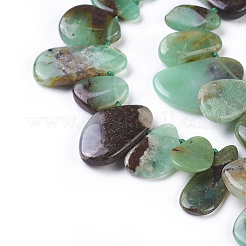 Natural Chrysoprase Beads Strands&nbsp;G-F645-16