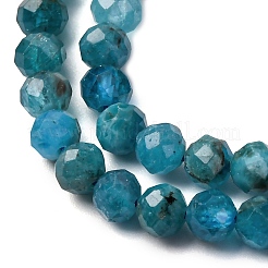 Natural Apatite Beads Strands&nbsp;G-A276-C08-4mm-03